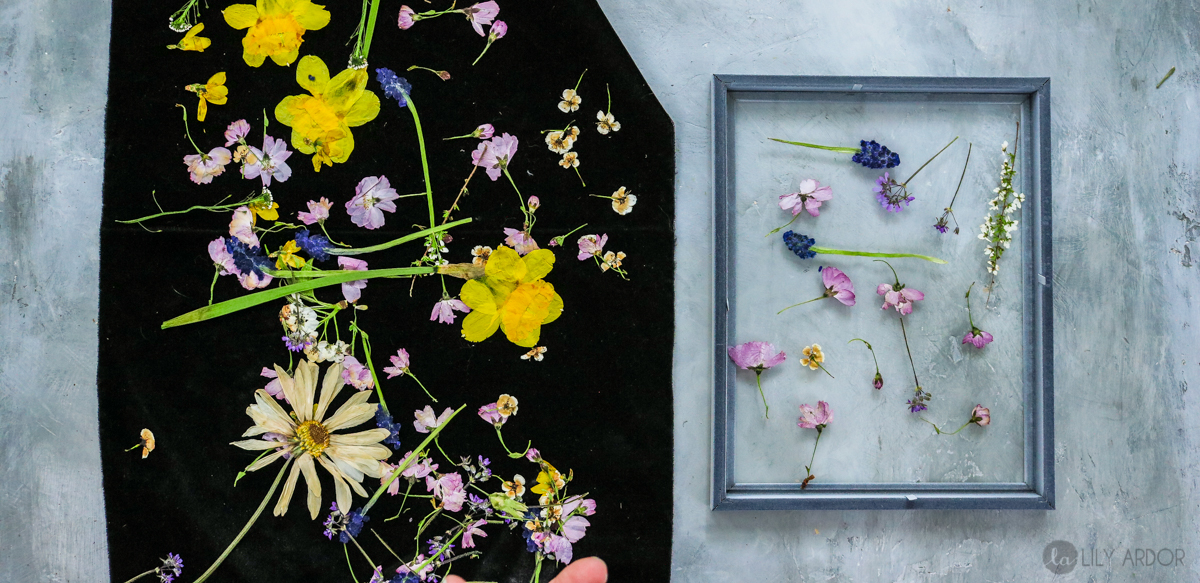 Easy Pressed Flowers Art — DIY DARLING