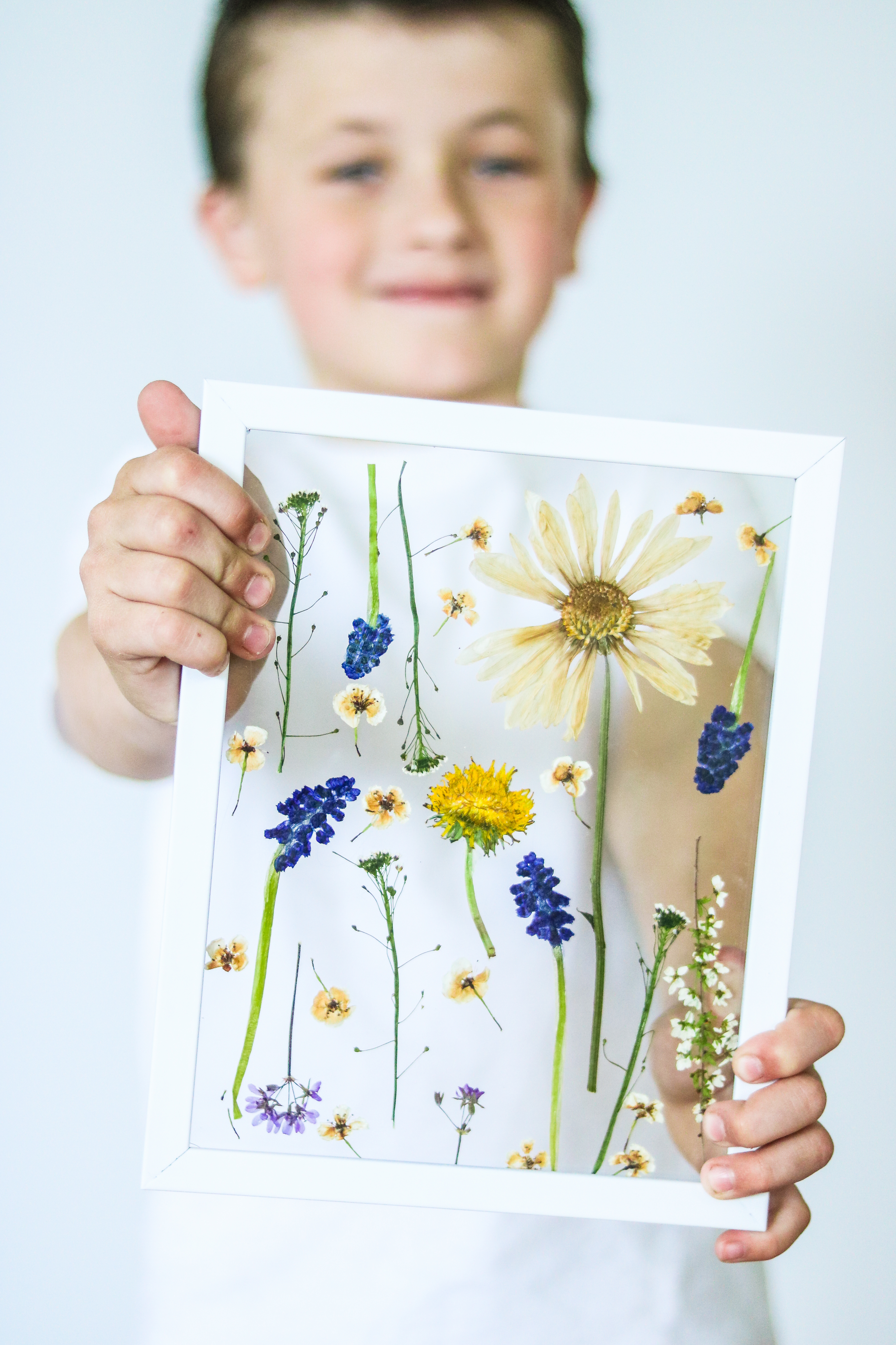 Pressed Flower Bookmarks Using Contact Paper: A Fun and Easy Craft for Kids