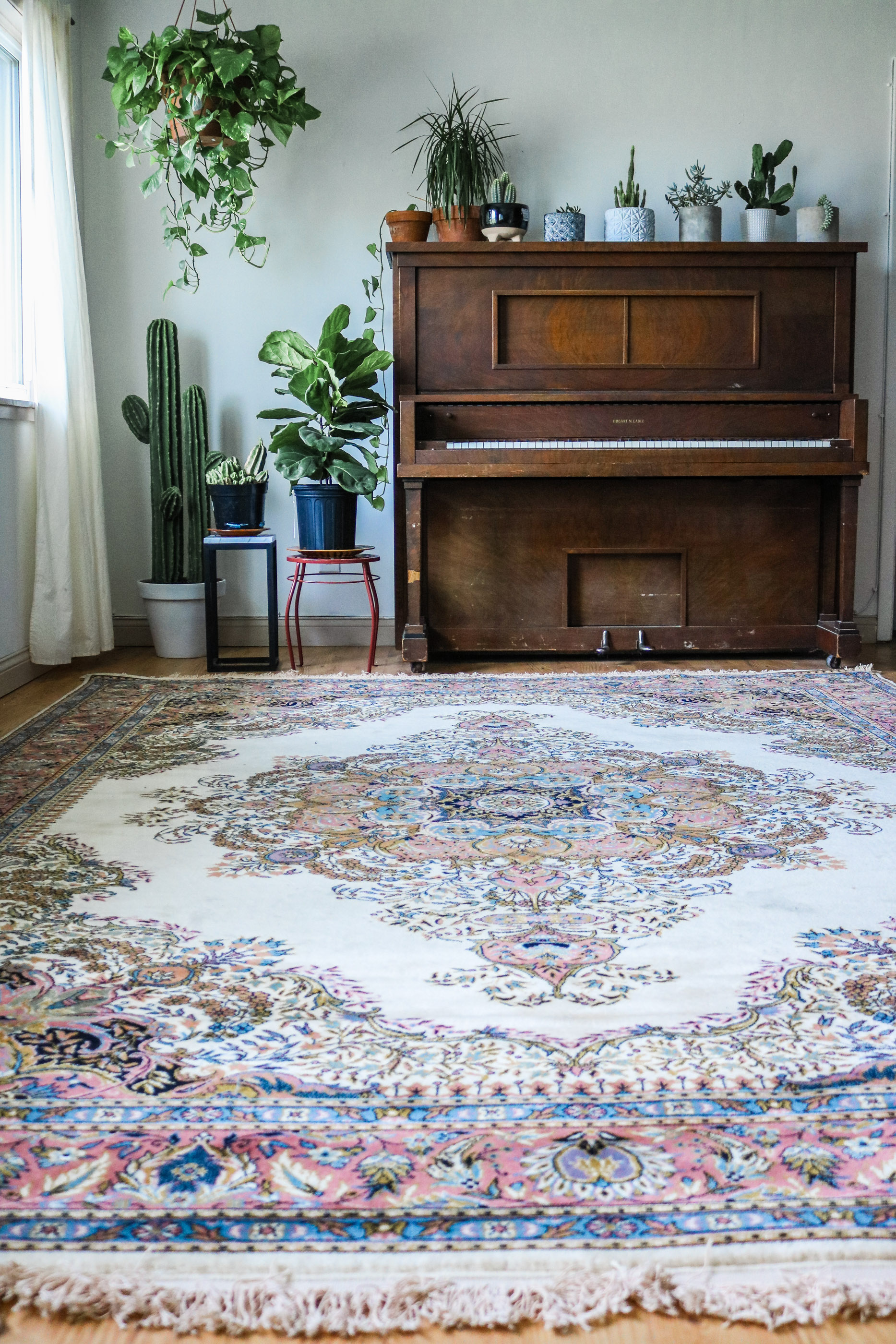 how to dye a rug