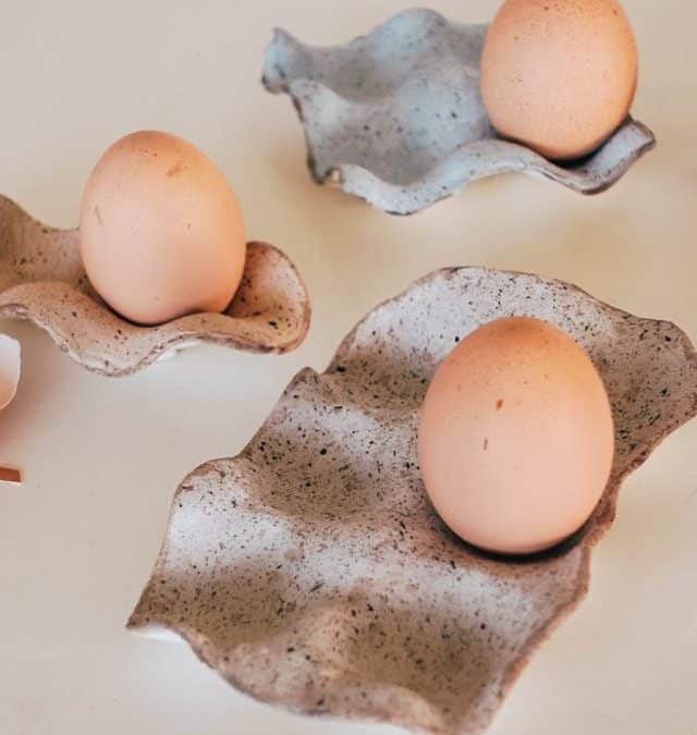 Egg Holder DIY From old egg cartons