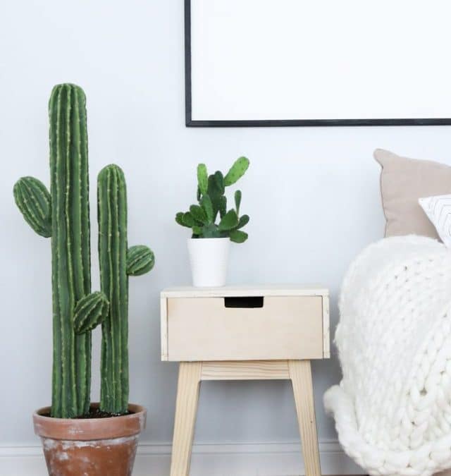 CUTE CACTUS DIY PLANT