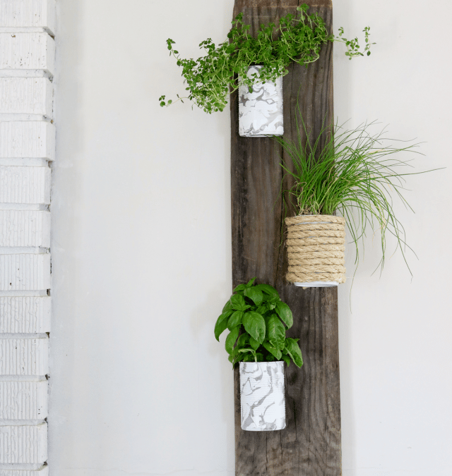 DIY HERB WALL PLANTERS