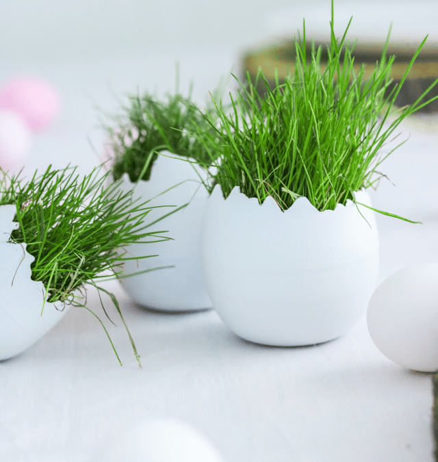 CRACKED EGGS CENTERPIECE + 3 WAYS TO DISPLAY