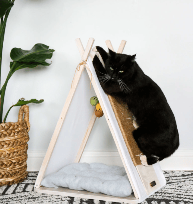 DIY CAT HOUSE (TEPEE FROM AN OLD TV TRAY)