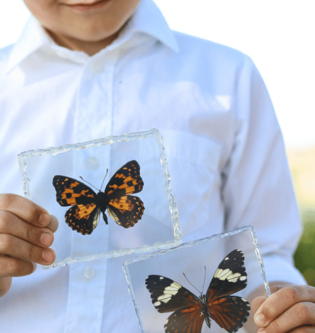 MOTHER’S DAY BUTTERFLY GIFT FROM PRINTABLES