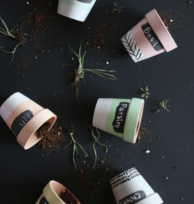 DIY CHALK LABEL PLANTERS